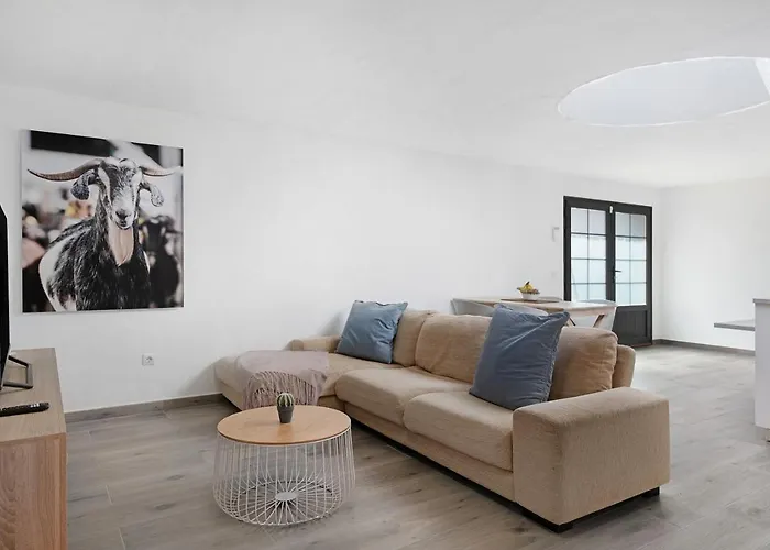 La Orilla Del Volcan